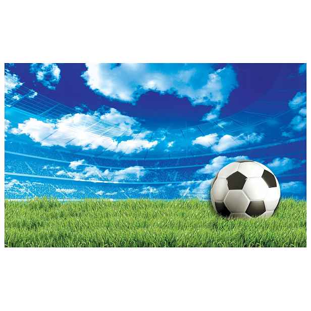 Fototapeta flizelina Zelené hřiště fotbalový stadion nebe 208x146 lepidlo