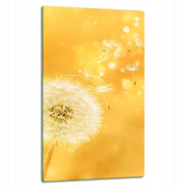 7v1 Skleněná Deska Panel Deska 30x52 Květina