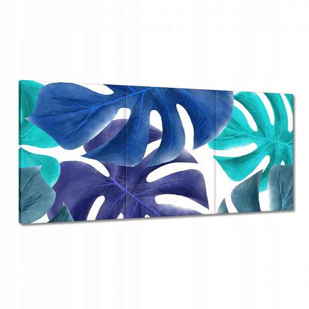 Obrazy 120x60 Monstera Listy Modrá