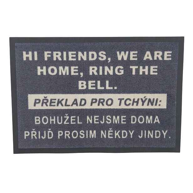 POSLEDNÍ ŠANCE: Rohožka HI FRIENDS 40x60 cm - na ven i na doma, 40x60, šedá, GDmats