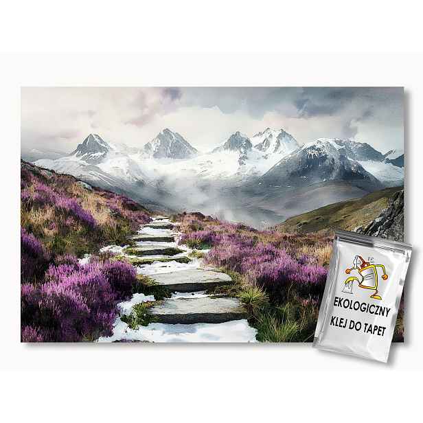 Fototapeta Flizelina Krajina Hory Tatry Stezka Vřesy 254x184 130g