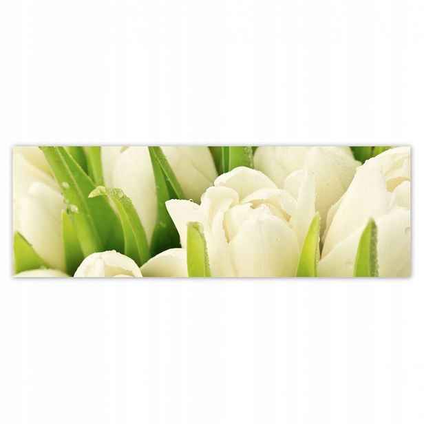 Plakáty 200x66 Jemné tulipány