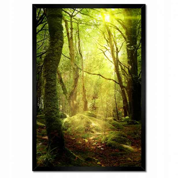 Plakáty v rámu 40x60 Kouzelný les Krajina