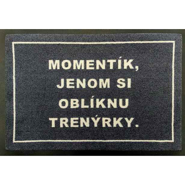 POSLEDNÍ ŠANCE: Trenýrková rohožka 40x60 cm - na ven i na doma, 40x60, šedá, GDmats