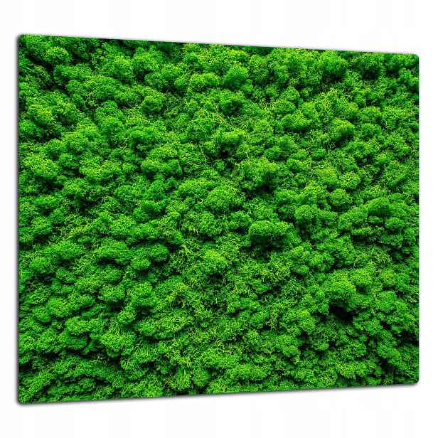 Skleněná Ochranná Deska Panel Lepidlo 65x60 Zelená