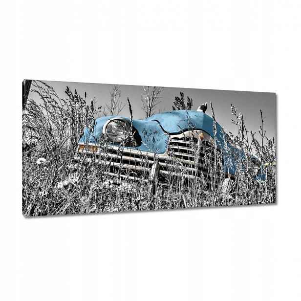 Obrazy 115x55 Světle Modrá Stařec Zabytek