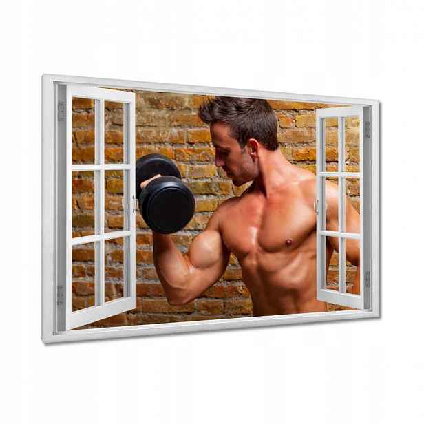 Obrazy 120x80 Cvičení svalů Činky