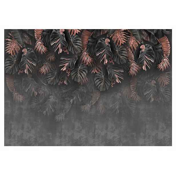 Fototapeta Listy Palmy Monstera 3D Beton 312x219