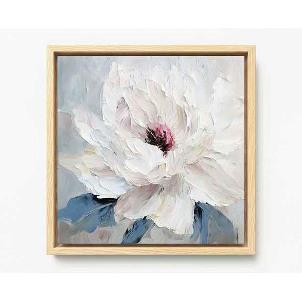 Obraz Rám Americký Box Příroda Makro Zahrada Flora Bílý Květ Peonia 50x50