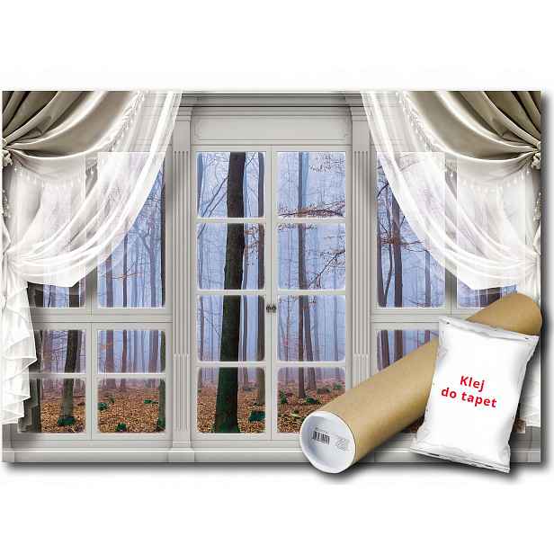 Fototapeta Okno Les Mlha 18C V8 368x254 F10636