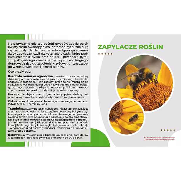 Vědecká tabule Opylovače rostlin 49x30 cm pro rám Model Wojtek 1 Mkw