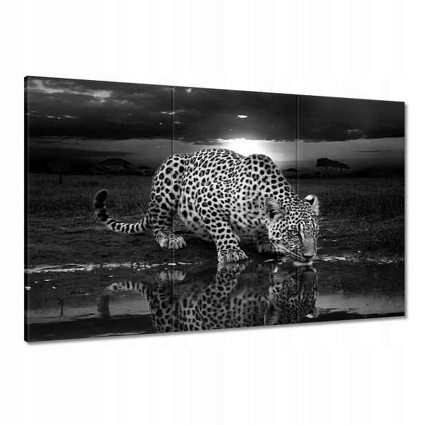 Obrazy 120x80 Na Zeď Gepard Tygr Obývací Pokoj