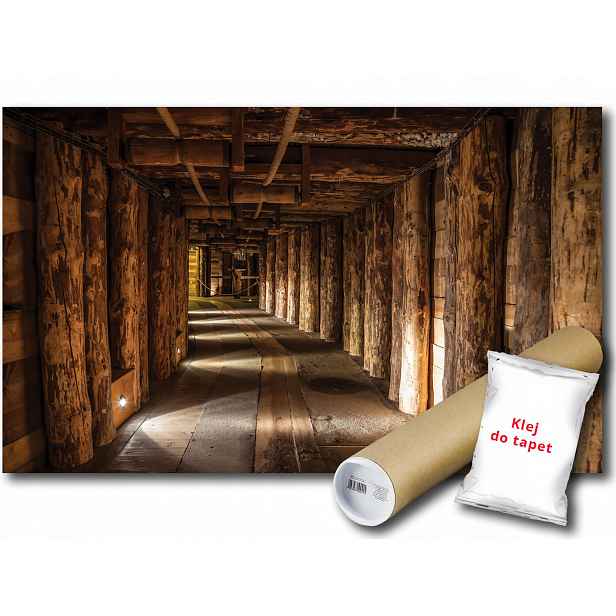 Fototapeta Kopalnia Tunel 24A F2XL 312x219 F1962