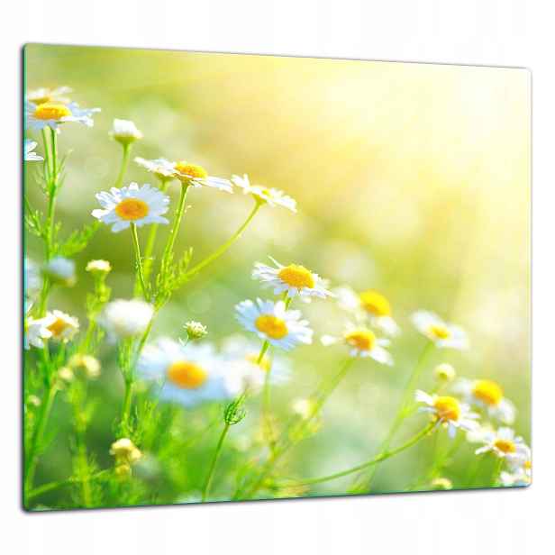 7v1 Skleněná Ochranná Deska Panel Lepidlo 65x60 Květiny
