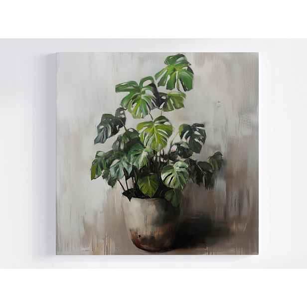 Obraz Na Plátně Canvas Natura Dekorace Zeleň Monstera Filodendron 50x50