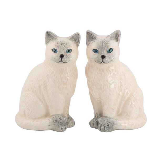 Slánka a pepřenka Ragdoll Cat – Sass & Belle