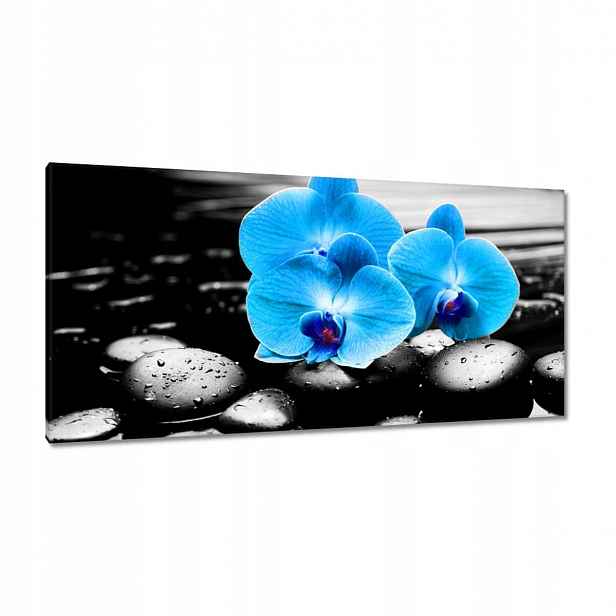 Obrazy 115x55 Tyrkysový orchidej Květina