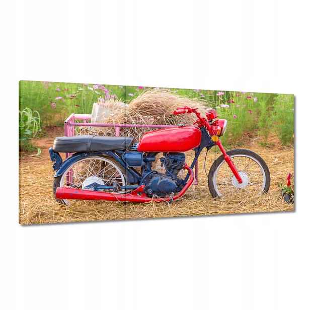 Obrazy 120x60 Červený motocykl Květiny
