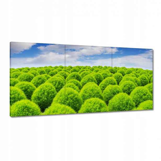 Obrazy 120x60 Zelený pohled Dolina