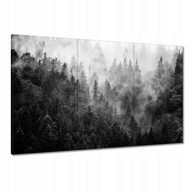Obrazy 120x80 Krajina Šedá Hory Mlha