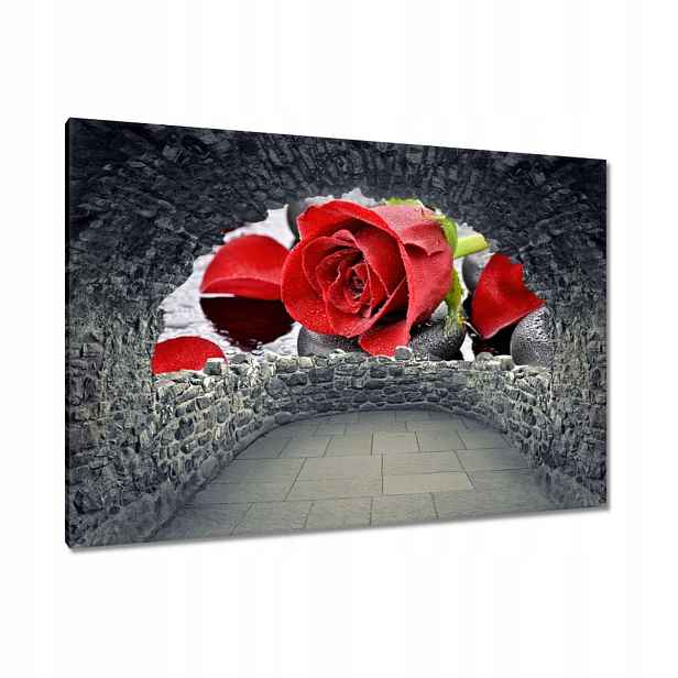Obrazy 120x80 Červená růže pro ni