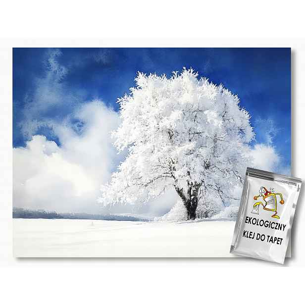 Fototapeta Flizelina Krajina Zima Sníh Zaspy Dřevo Námraza 416x290 130g