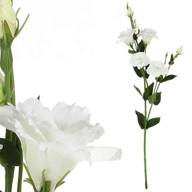 Autronic Eustoma bílá KT7909 WT
