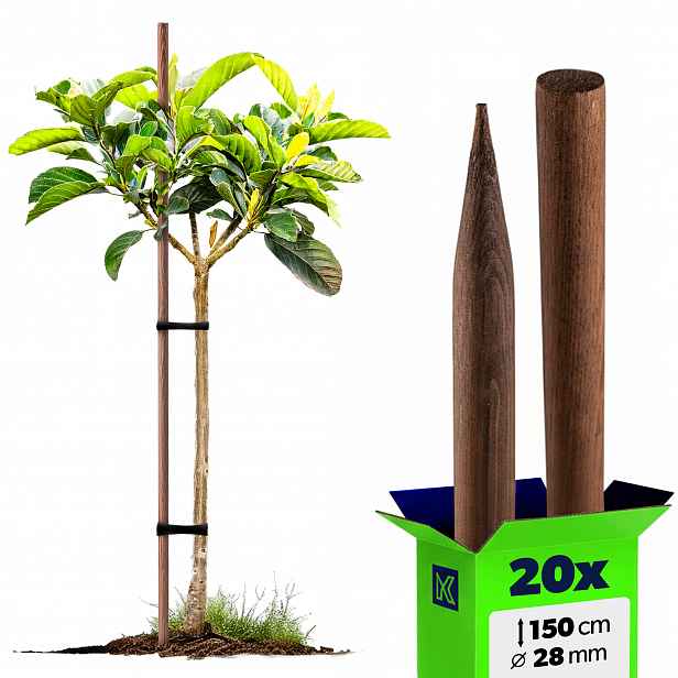 20 x Dřevěné Tyče Na Rajčata 150 cm Impregnované Podpěry 28 mm