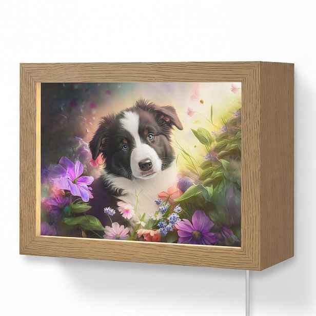 OnlyWow NÁSTĚNNÁ LAMPA Štěně - Slunce - Květiny - Příroda - Border kolie - Pes 20x15 cm
