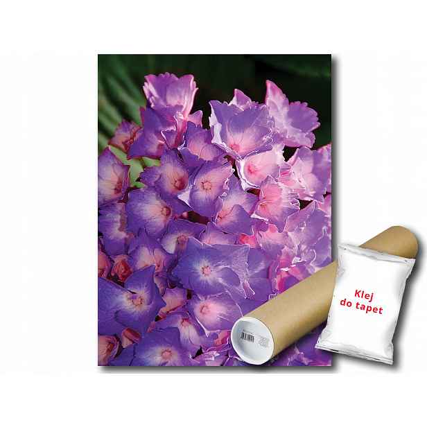 Fototapeta Fialové Květy 9E Panxl 206x275 F1563