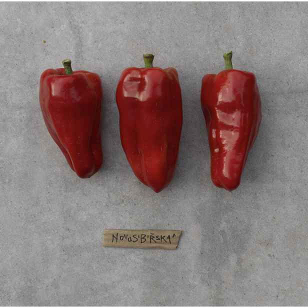 Culina Botanica Paprika Novosibirská