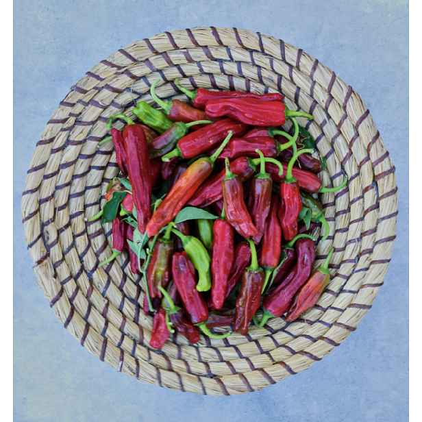 Culina Botanica Paprika italská Peperoncini / Peperone Friariello
