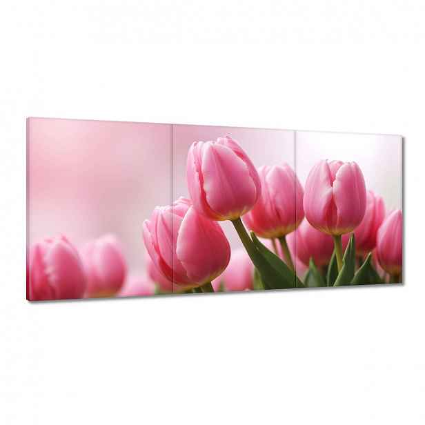 Obrazy 150x70 Růžové tulipány