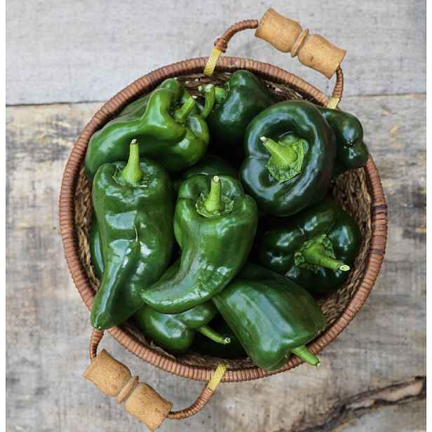 Culina Botanica Paprika mexická Poblano / Ancho Grande