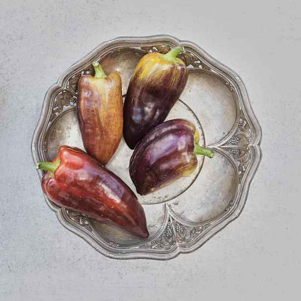 Culina Botanica Paprika Lyliac / Macho
