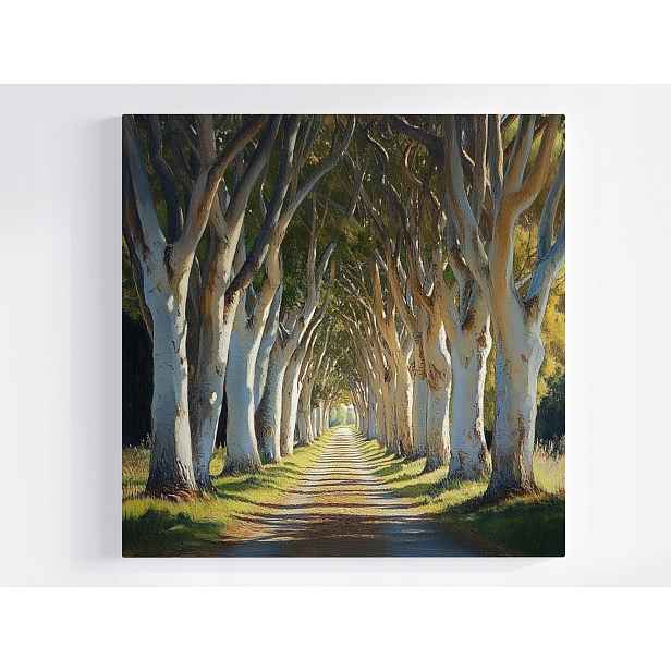 Obraz Na Plátně Canvas Aleja Stromů Cesta Les Příroda Krajina 50x50