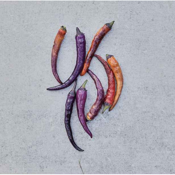 Culina Botanica Paprika Buena Mulata