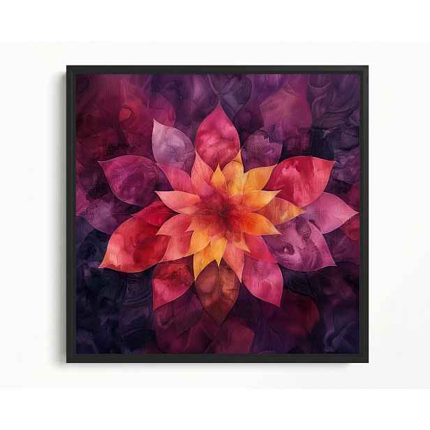Obraz Rám Americký Box Květina Mandala Abstrakce Fialová Červená 60x60