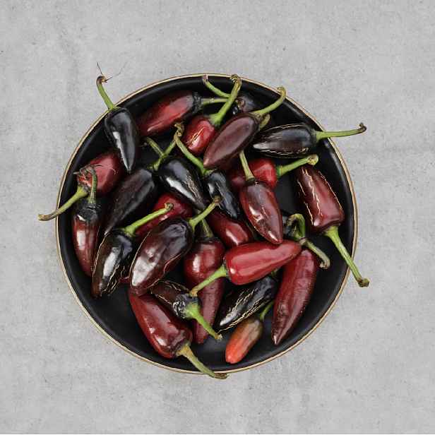 Culina Botanica Paprika Jalapeno Brown