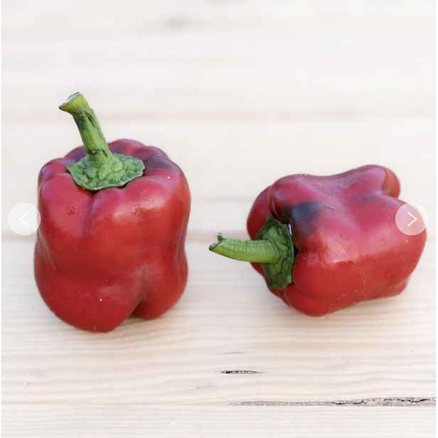 Culina Botanica Paprika Early Niagara