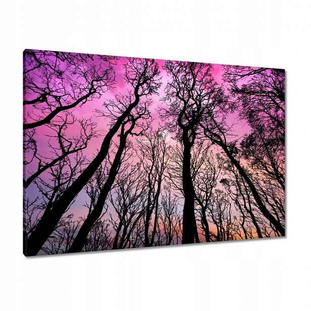 Obrazy 100x70 Krajina Pohled