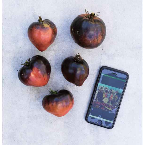 Culina Botanica Rajče Sgt Peppers