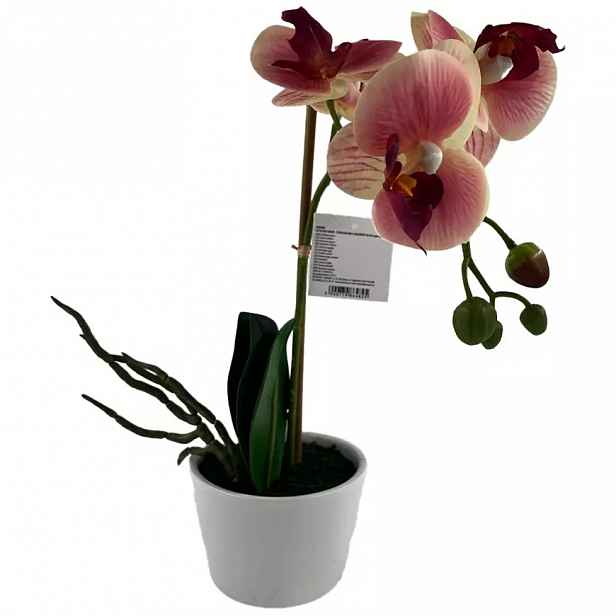 Orchidej - mix 3 barev 30 cm