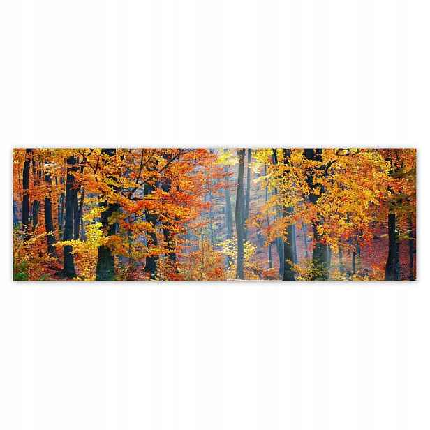 Plakáty 200x66 Zlatý podzim