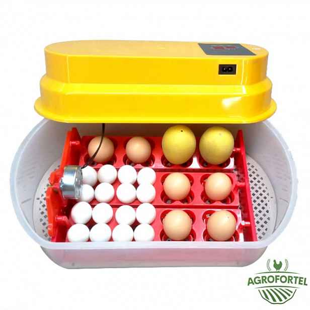 Agrofortel Automatická digitální líheň WQ-12. Pro 12/48 vajec.