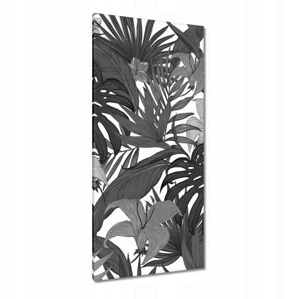 Obrazy 55x115 Černobílá monstera