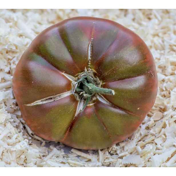 Culina Botanica Rajče Black mamut 