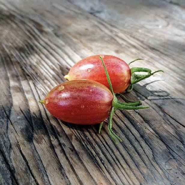 Culina Botanica Rajče Rosa Maglia