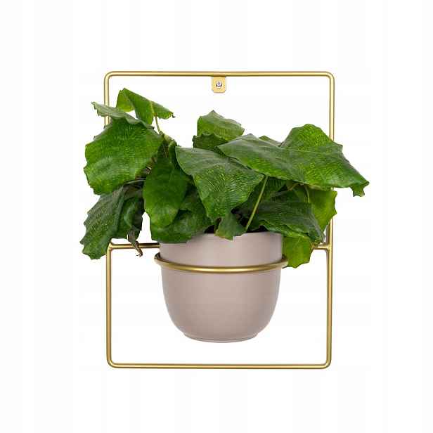 Držák Na Květináč Pilea nástěnný závěsný kovový jednoduchý nástěnná dekorace zlatý