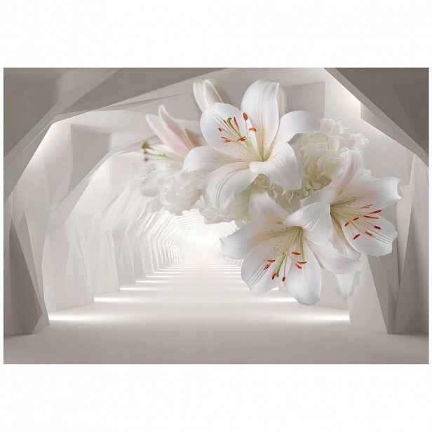 Wallarena 3D abstraktní fototapeta béžová 200x140 cm